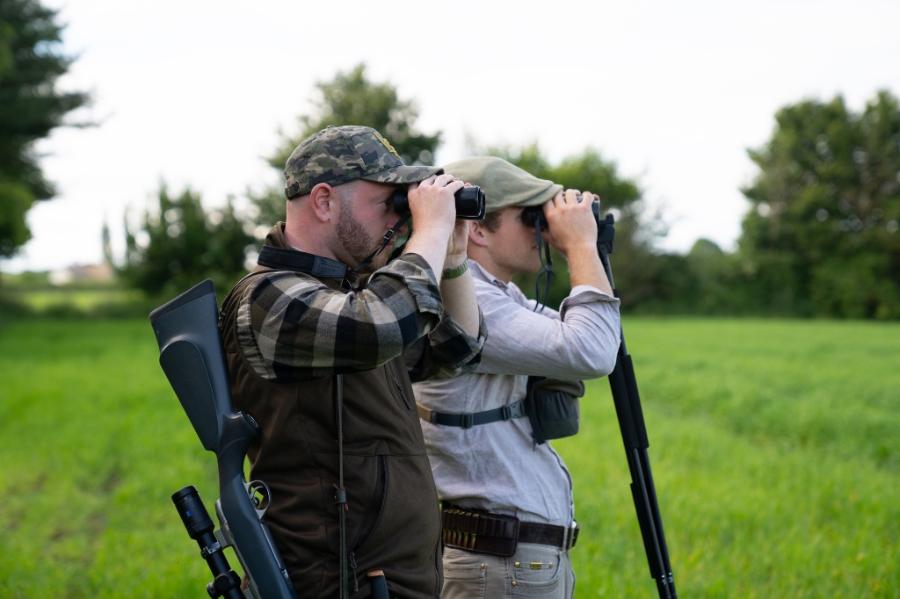 English Roe Buck Stalking