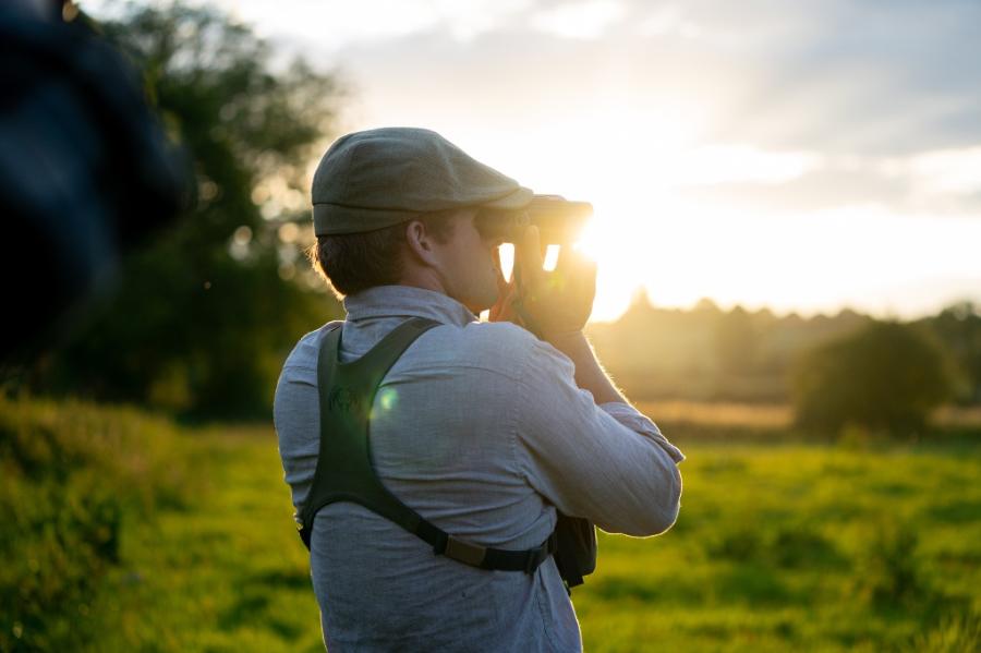 English Roe Buck Stalking