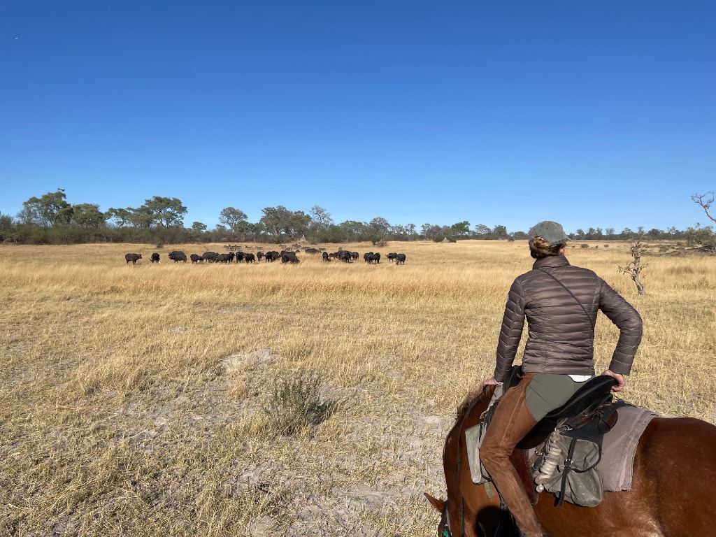 Horseback Safaris