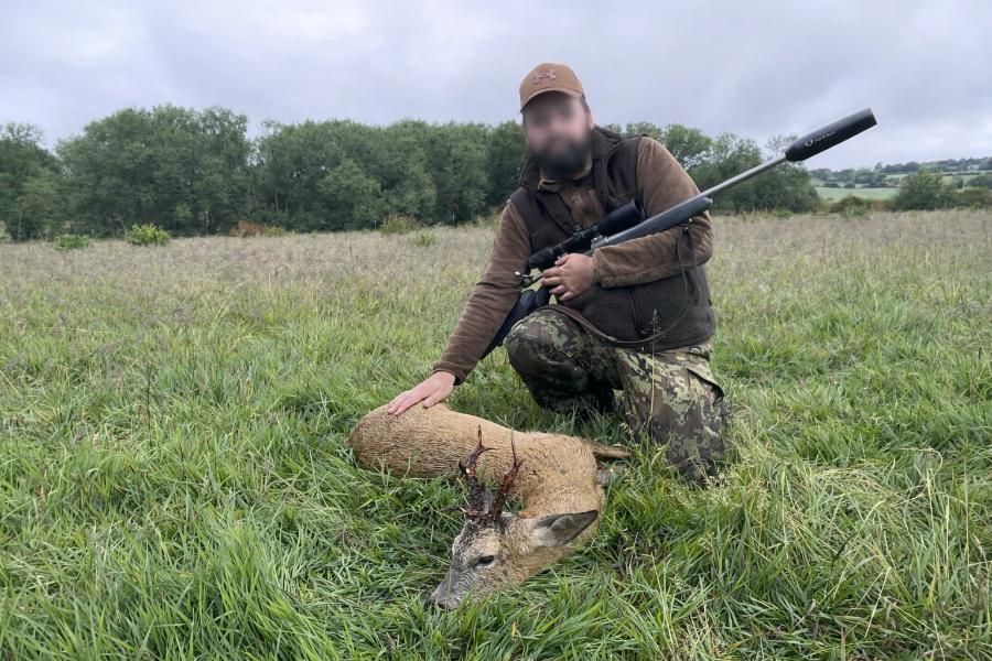 Roe Deer Hunting British Spring Time