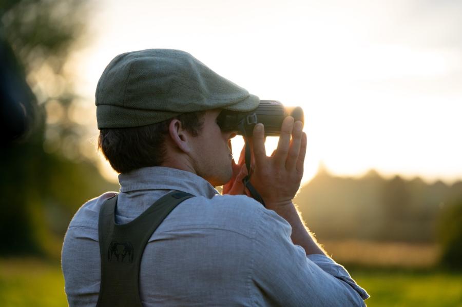 English Roe Buck Stalking