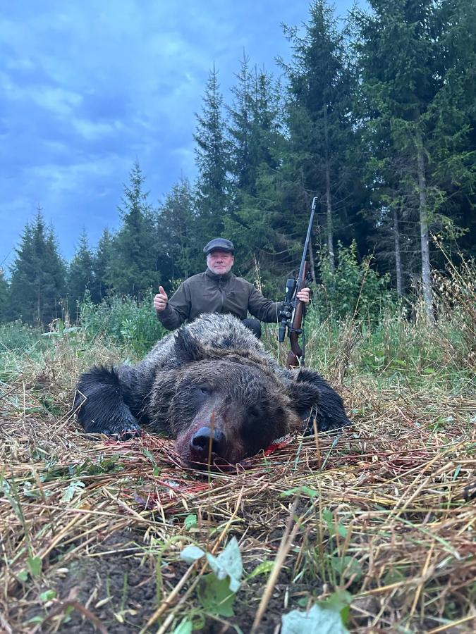 European Brown Bear hunting