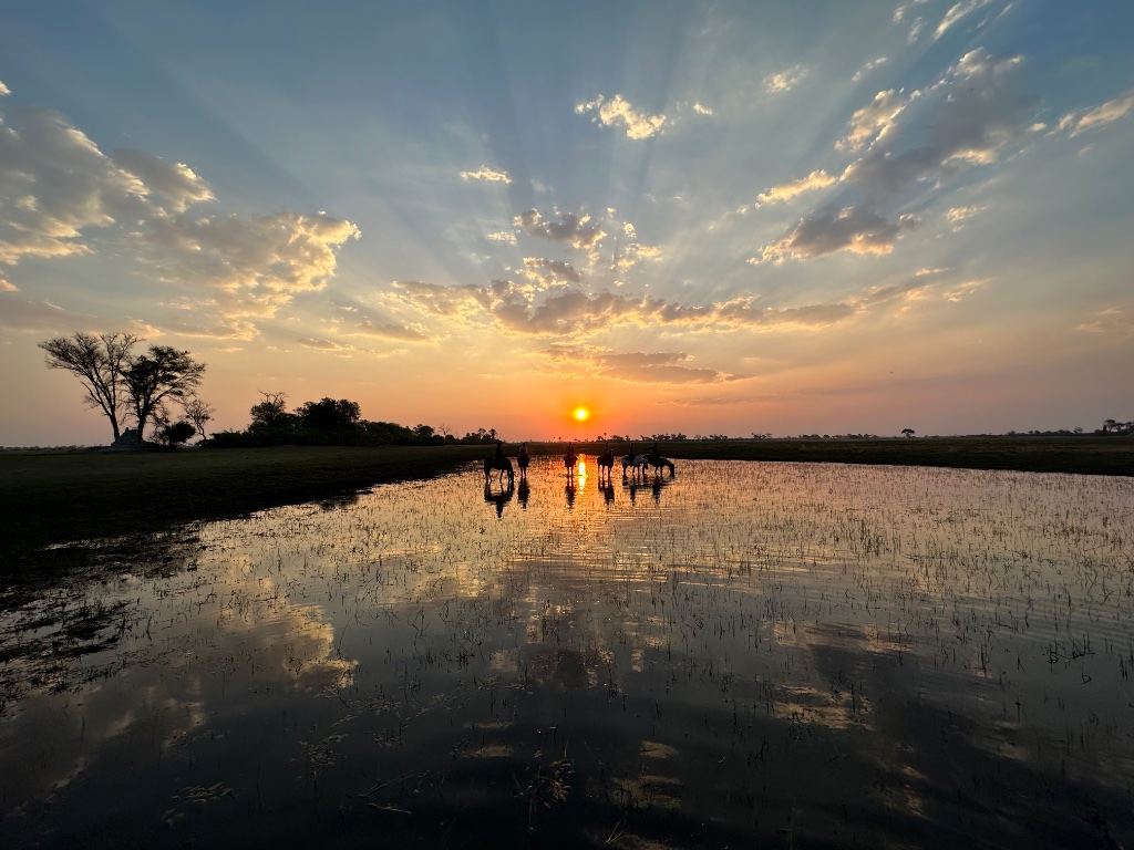Africa