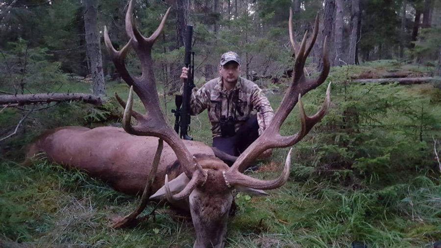 Eastern European Red Stags
